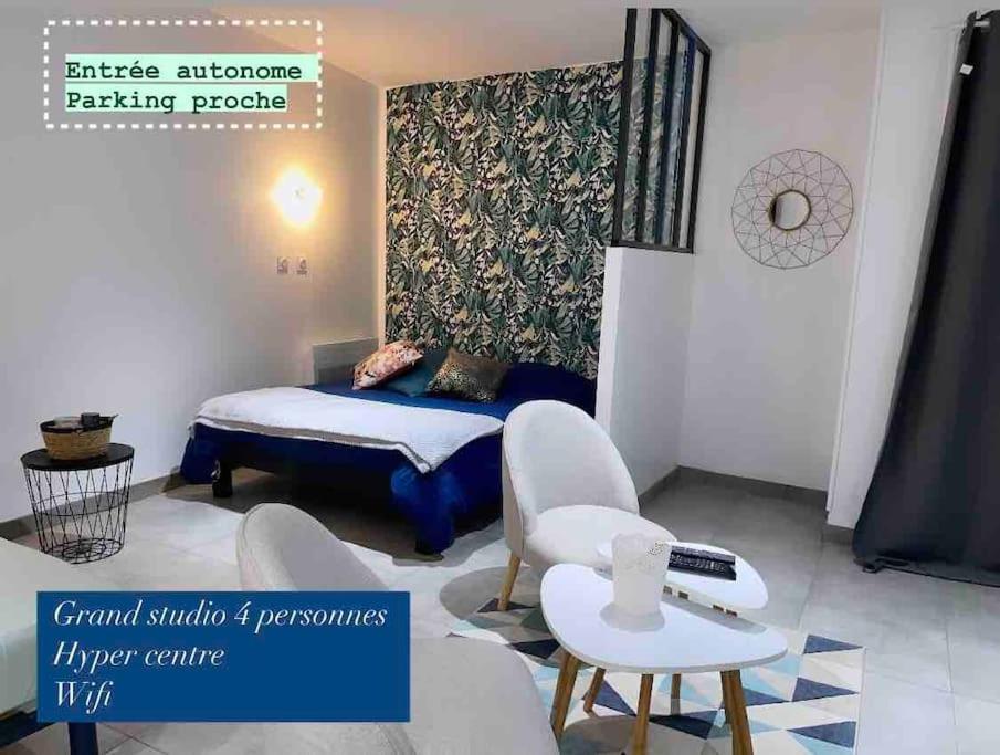 Studio La Reine Blanche - 4Pers - Rdc Apartment Bourges Luaran gambar