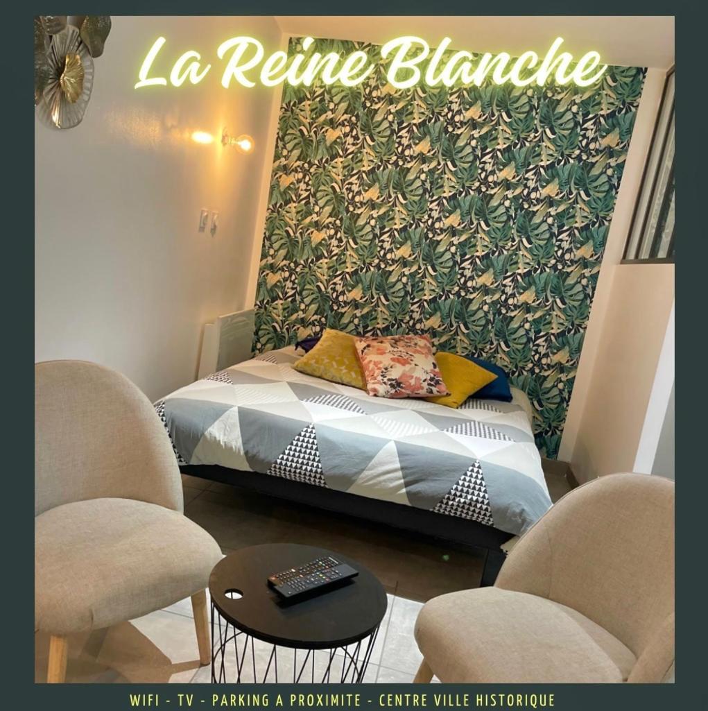 Studio La Reine Blanche - 4Pers - Rdc Apartment Bourges Luaran gambar